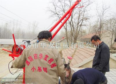 点击查看详细信息<br>标题：潍坊华友机械建筑小吊机 阅读次数：5138